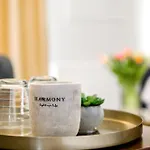 Ramina טימישוארה
