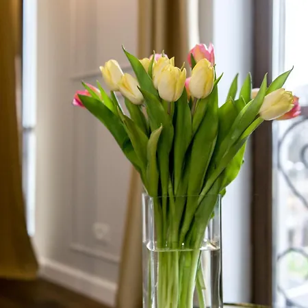 Ramina Hotel Timisoara