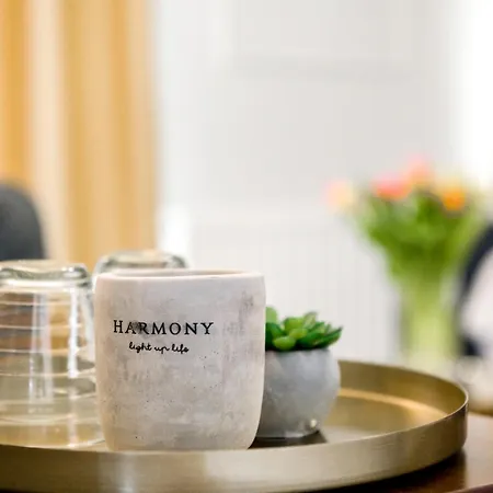 Ramina Timişoara