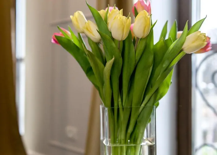 Ramina Hotel Timisoara