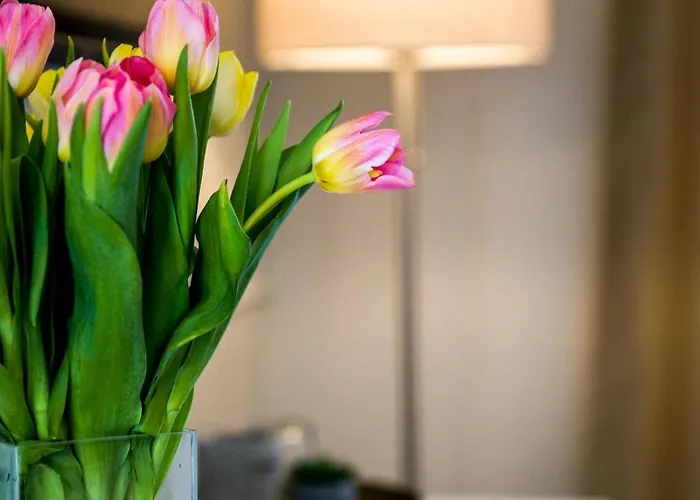 Ramina 3* Temešvár